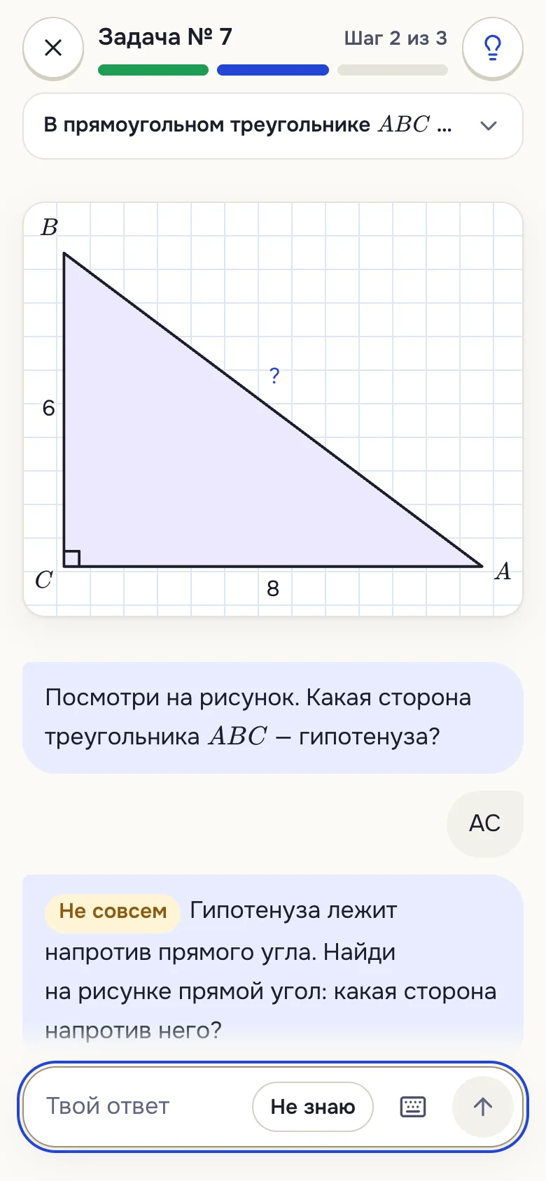 Экран урока: схема прямоугольного треугольника на доске и вопрос репетитора, какая сторона — гипотенуза